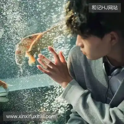 龚韶禹
